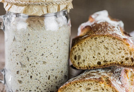 Wie funktioniert die Sauerteigmutter? / Werde ein Sauerteigmutterexpert!